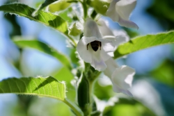 생존의 아름다움